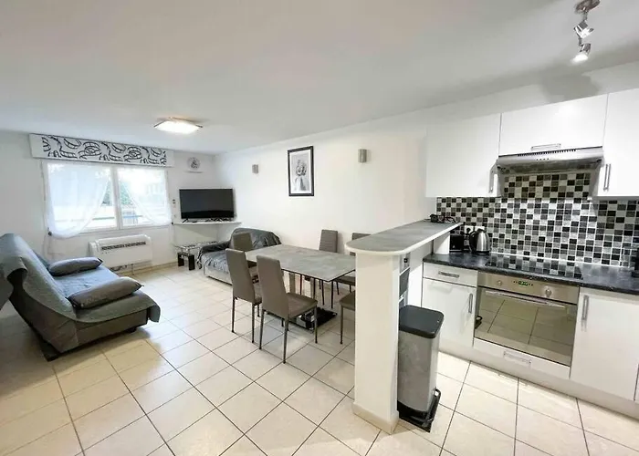 Modern One Bedroom Apartment In Cannes